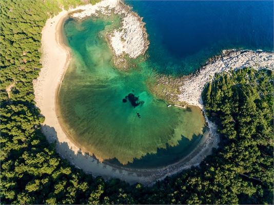 MLJET