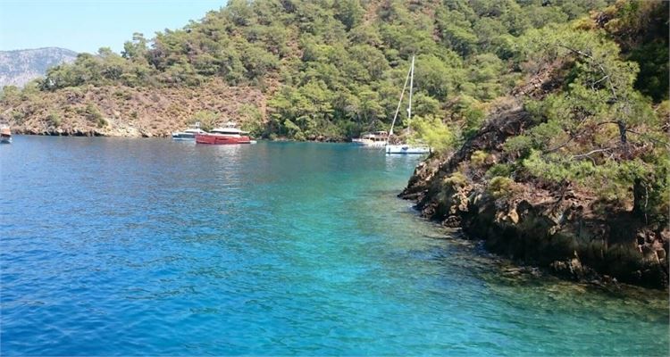 GOCEK