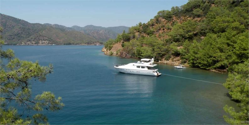 GOCEK