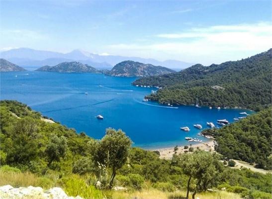 GOCEK